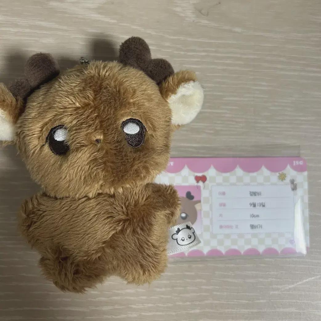 

Riize Sungchan Doll Jeong Bum-bi