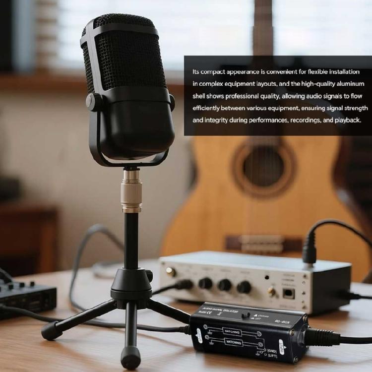 Audios Noise Isolator 6.35mm Signal Noise Cancellation Device Metal Builts For Stage Performers And Recording Engineers