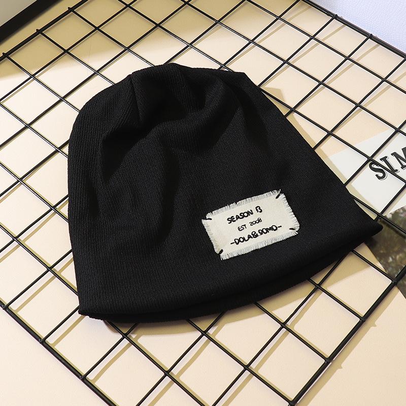 Internet celebrity new hat women's autumn and winter versatile wool hat sticker headgear trendy knitted pile hat men