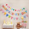 Birthday Pull Flag Banner for Baby Party Decorations - Boy & Girl Pennant
