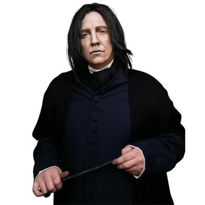 Perucă sintetică Tereshar Profesorul Severus Snape scurtă și dreaptă pentru bărbați negri pentru adulți Michael Jackson Assassin Wick costum perucă