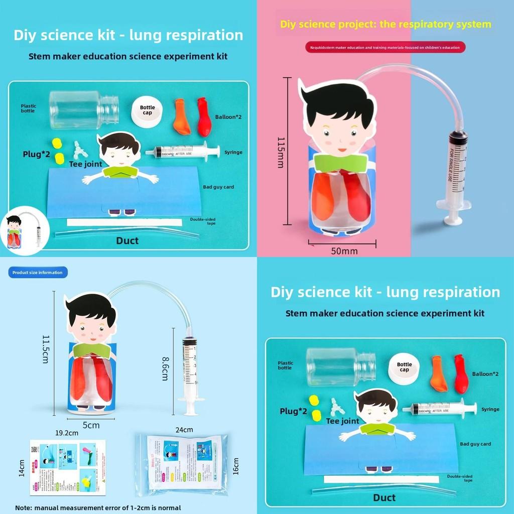 Kids Diy Physiology Model Of Lung Movement For Science Education And Handson Learning