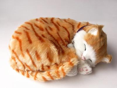 Bambole e peluche – Animali di pezza e di peluche