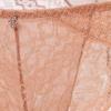 Triumph Dreaming Arabesque Lace Panty Brown Tfwpt112br