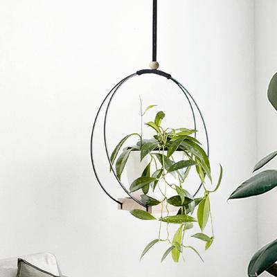 Plant Hanger Smooth Edge Decorative Widely Used Attractive Hanging Plant Holder Flower Pot Storage Rack Household Supplies