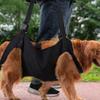 Dog Carrying Harness Pet Support Harness Puppy Rehabilitation Lift Vest Adjustable Strap Handle For Joint Injuries Senior Dogs