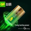 GP D Size 1.5V Alkaline Batteries (2-Pack) CN plug (adapter included)