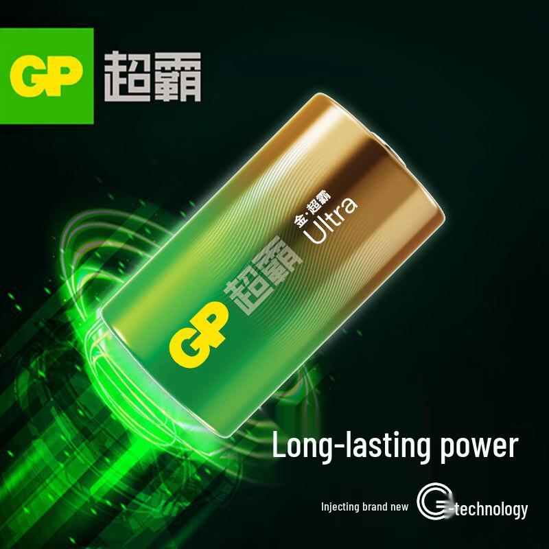 GP D Size 1.5V Alkaline Batteries (2-Pack) CN plug (adapter included)