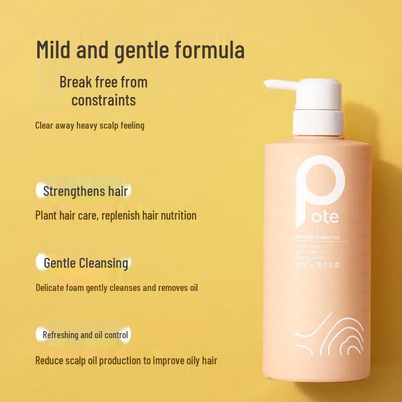 Botei Ginger Amino Acid Shampoo Set
