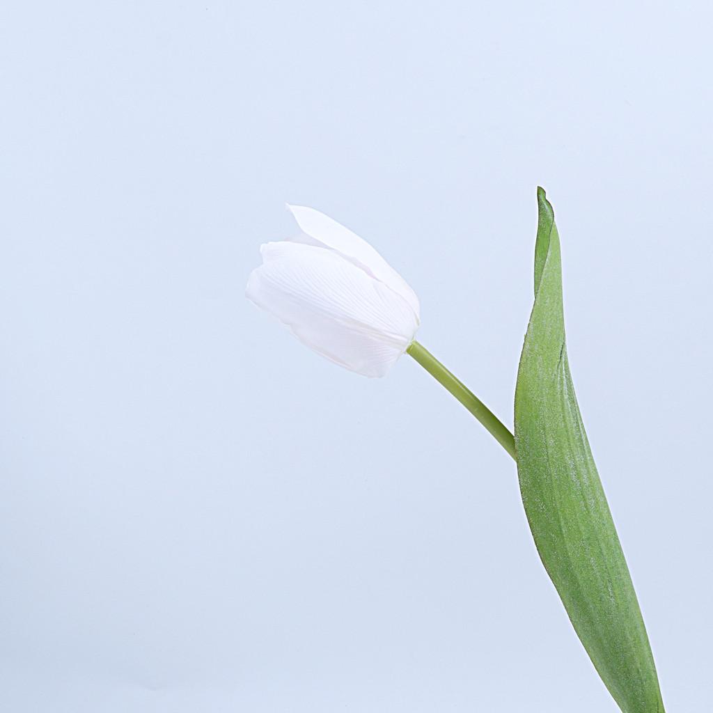 Feel Faux Moisturizing Tulipa Gesneriana Flower Bouquet For Interior Decor