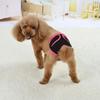 Couches Lavables pour Chien Pantalon Physiologique Pantalon pour Chiot Femelle Short Sous-vêtement Coton Chien Femelle Diaper Culotte Vêtements Chien Chat