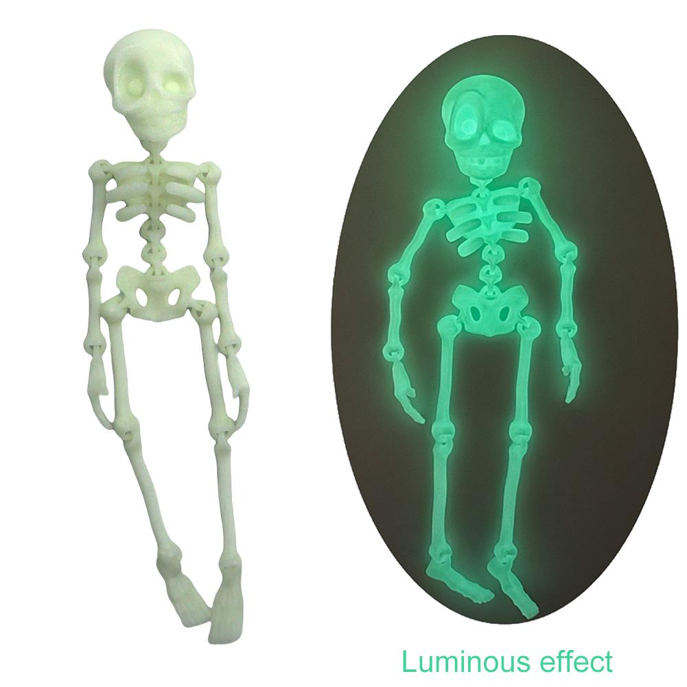 Poseable Skeleton Fridge Magnet Mini Magnetic Skeleton Fridge Magnets Skull Fridge Magnets for Kitchen Office and Locker Decor