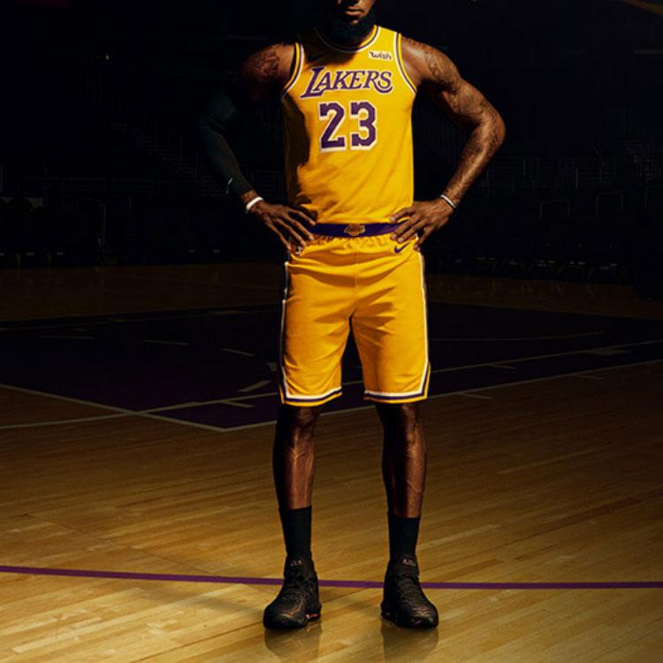 Men's Nike X Nba Kids Los Angeles Lakers Lebron James Icon Edition Swingman Jersey