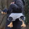 Adjustable Dog Support Harness for Mobility Assistance