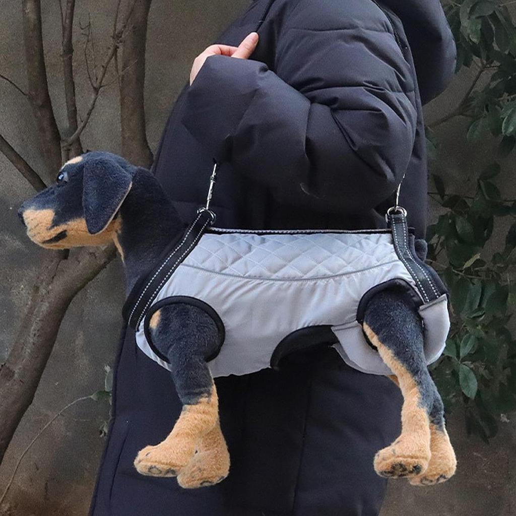 Adjustable Dog Support Harness for Mobility Assistance