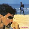 Caetano Veloso Ferrada  Limited Edition 
