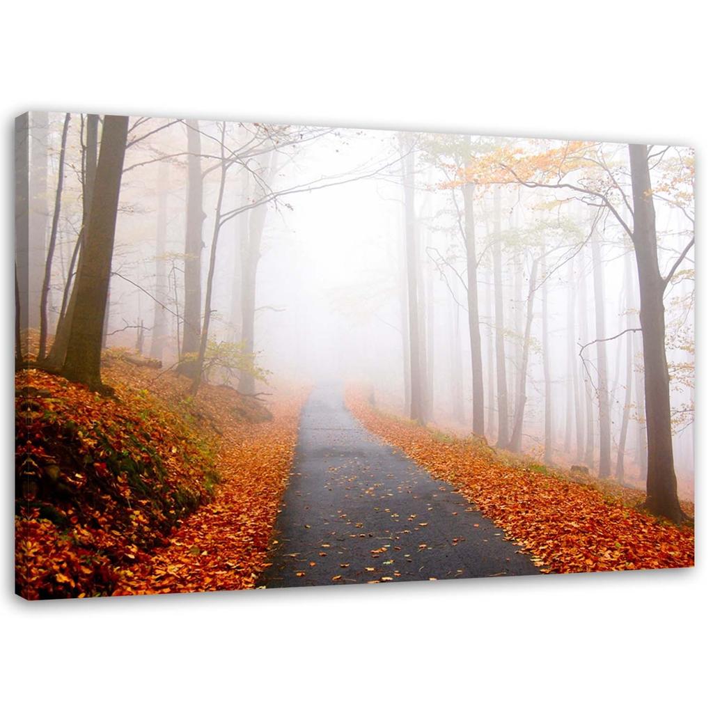 Canvas Print, Golden Autumn In the Park