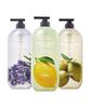 [Select Option] The Natural Body Wash 900g X 3