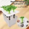 Hydroponic Grow Box 6-Hole Planting System Home Herb Planter Vegetable Cultivation Kit