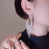 Exaggerated Geometric Long Fringed Earrings Super Flash Earrings Versatile Temperament Fashion Studs Rhinestone Earrings Women