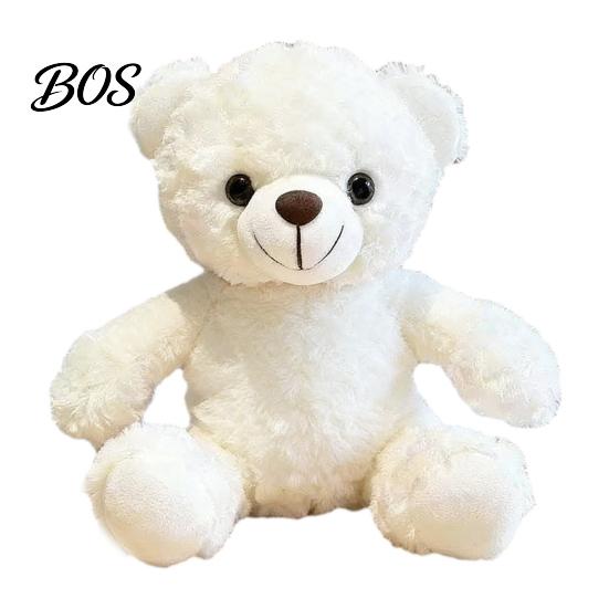 Luxury Gift Packaging Bear Personalized Graduation Gifts 2026 for Her, Cute Teddy with Embroidered Gown Award And Cap, Soft Plush Mascot College High