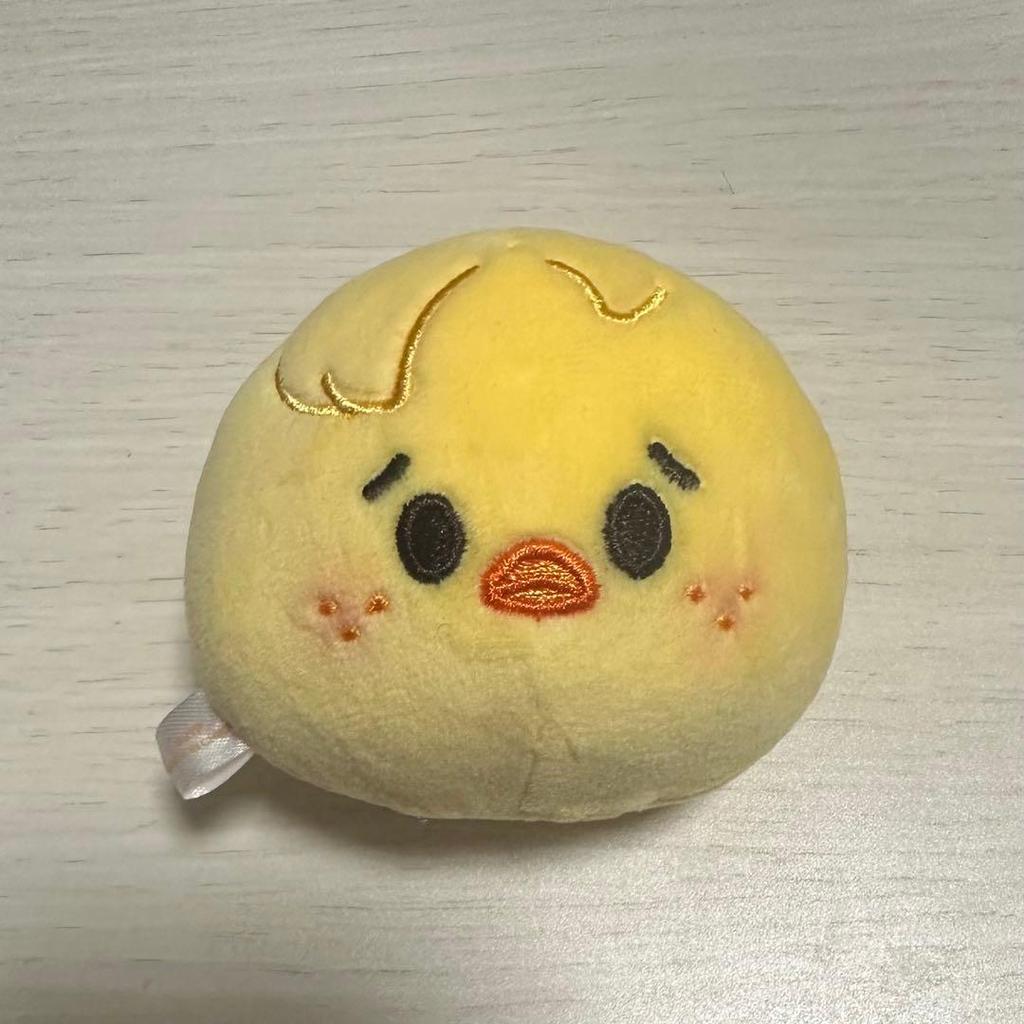 [USED] Stray Kids SKZOO BBOKARI POGARI Stress Ball
