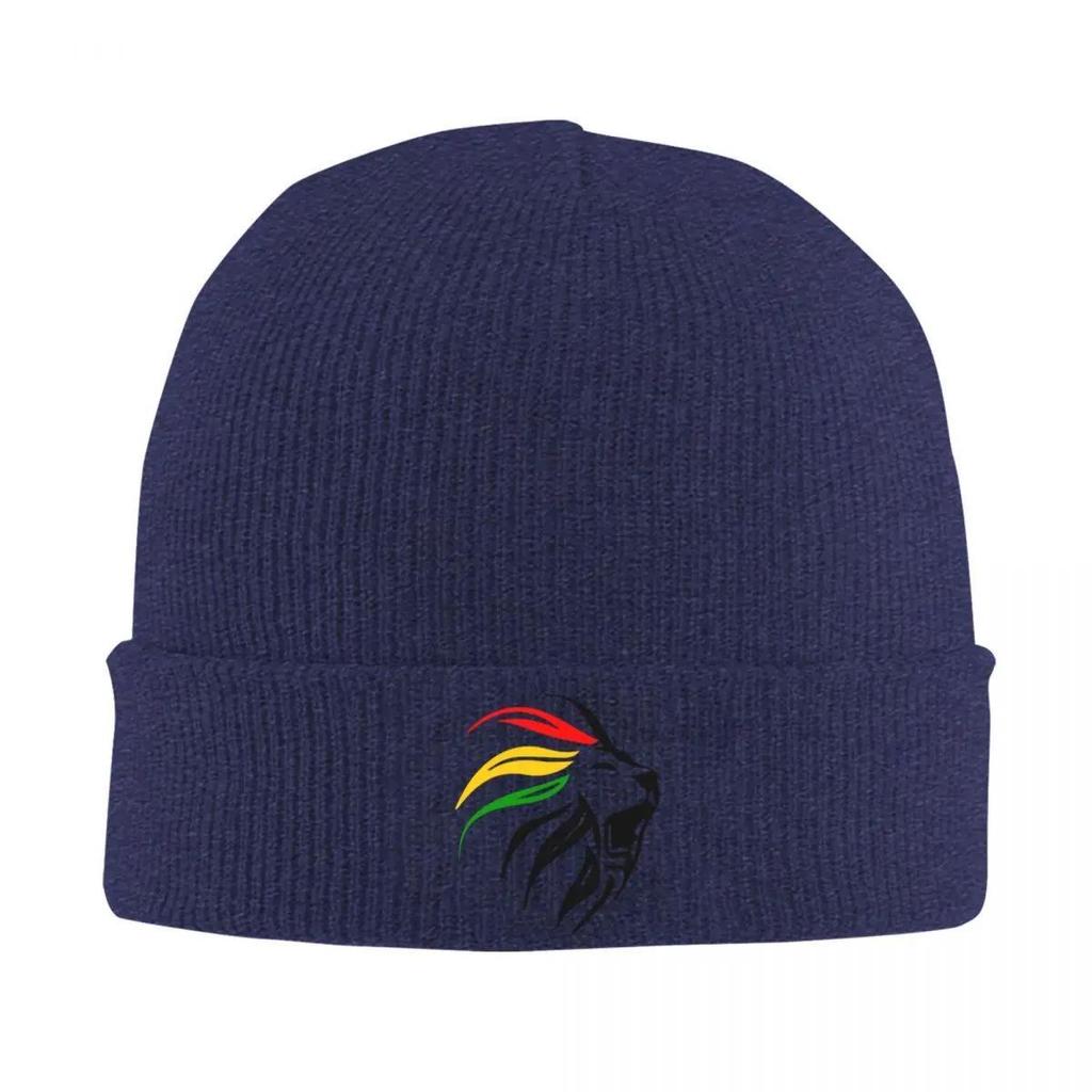 Cool Rasta Lion Of Judah Art Dreadlock Rastafari Knit Hat Beanie Autumn Winter Hats Warm Hip-hop Caps for Men Women