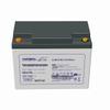 LEOCH Maintenance-Free Lead-Acid UPS Battery