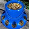 11 Holes Pigeon Feeder Trough Shape Bird Feeding Bucket Food Dispenser Chicken Feeder  Geese