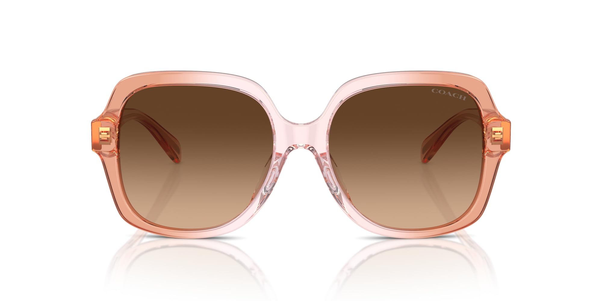 

Coach HC8395F CR962 ROSE GRADIENT 56 Women s Sunglasses, SADDLE/DUSTY