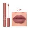 Lipstick, Velvet Lip Makeup for Women, Lip Color