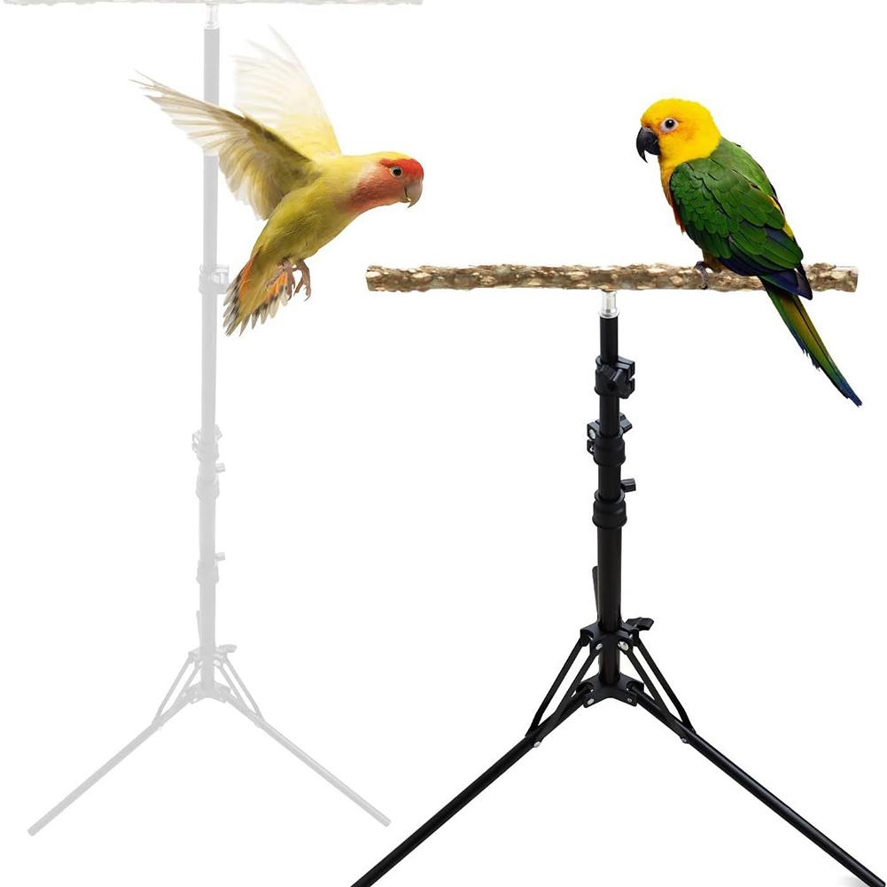 Höhenverstellbarer Vogelständer Naturpfefferholz Papageienstange Spielzeug Innen Außen Vogelständer für Kleine Mittlere Vögel