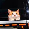 Cat Car Window Decals Funny 3D Waterproof Decals,Orange Cat Stickers,PVC Realistic Automotive Sticker, for Refrigerator,Toilet, Wall.Bathroom,1pcs