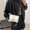 Simple Casual Small Square Bag 2025 Winter Retro Niche Fashion Messenger Bag Women's New Personality Trend Shoulder Bag