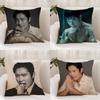 Musife L-Lee B-Byung Hun Cushion Cover Premium Comfort Reversible Pillow Cover - Dual - Use Design for Home & Car