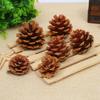 Manual Selection Of Oil Pine Photo Props, Kindergarten Handmade Materials, Christmas Pine Cone Pendant, Northern Pine Cone 1Kg Price