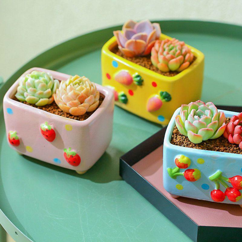 Fruit Relief Ceramic Succulent Planter, Creative Cartoon Mini Flower Pot, High Appeal Home Decor for Desk