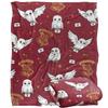Harry Potter Letter Hedwig Blanket