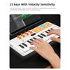 Btuty MIDI Keyboard with 2000mAh 8x4 RGB Multifunctional Mini Welocity Power 8 for Home Performance 25-Key High-Capacity Built-in Battery, Pads,