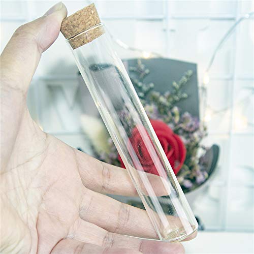 24 test tube glass bottles with cork stoppers, clear glass bottles - capacity (22 x 120 mm (30 ml))