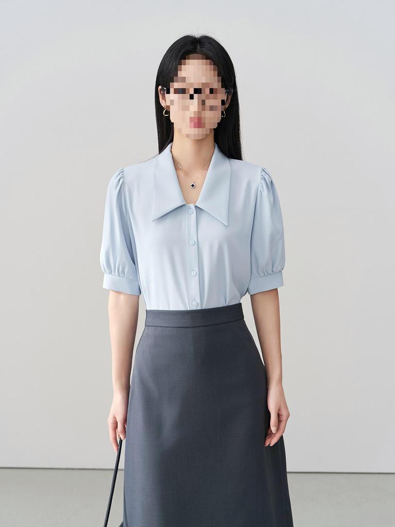 Miss Bird Blue Chiffon Short-Sleeve Professional Women's Interview Shirt