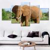 5 Pieces Canvas Wall Arts Animals Modular Poster And Picture Painting Elephone Wallpaper Home Decor Living Room Murals Artwork No Frame