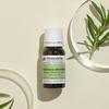 Olejek z drzewa herbacianego 10ml