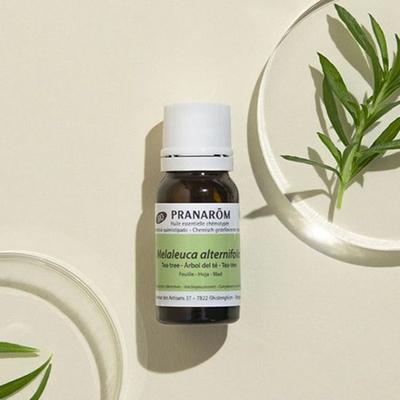 Tea Tree Oil 10ml