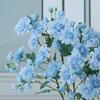 Plastic Silk Peony Flower Branch 5 Fork Fake Flower Artificial Peony Flower  Shop Hotel Decoration