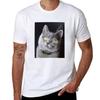 British Shorthair Kitten TShirt Basic Daily Outfit Short Sleeve Tee