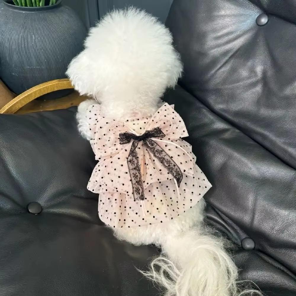 Thin Polka Dot Cat Dress Soft Fabric Pet Tutu Skirt Dogs Polka Dot Lace Dress For Small Dogs Cats