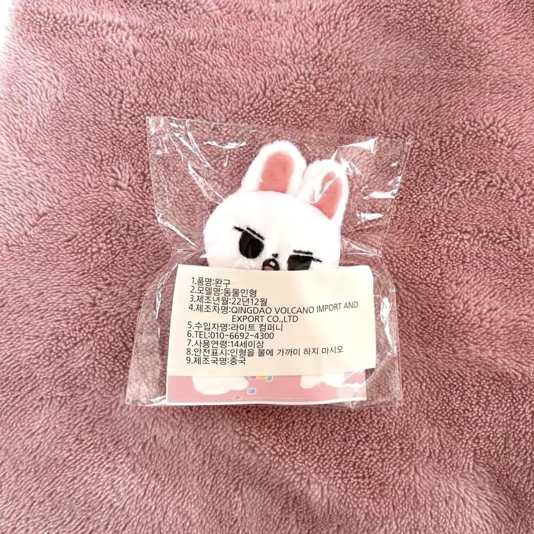 

[USED] straykids Reno Master Doll