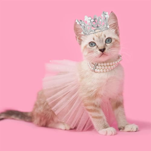 BTtime Princess Crown Tiara, Mini Cupcake Crown, Perfect for Weddings, Princess Parties, Birthdays, Cute Pearl Tiara, Cake Accessory, Decoration