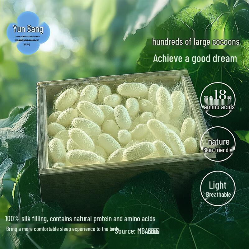 Bailisi Organic Tussah Silk Summer Quilt